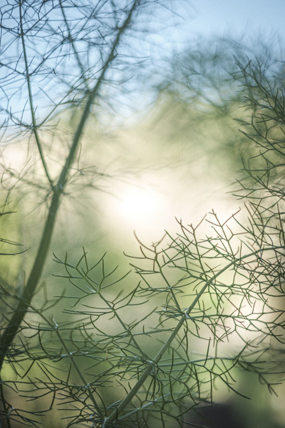 lePuitsDuTresor-web-12
