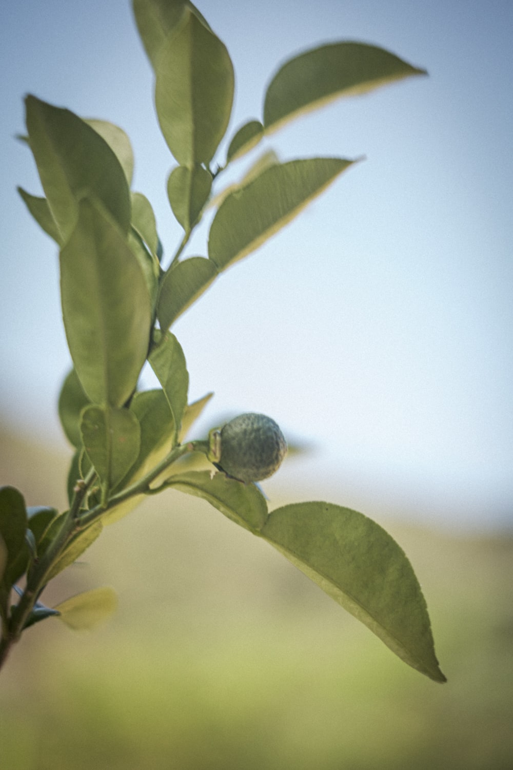 lePuitsDuTresor-web-7